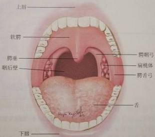 郑州民生：腺样体肥大的症状体征