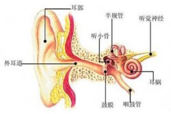 中耳炎的症状,中耳炎的症状及治疗方法
