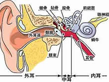 3种类型中耳炎的症状特点