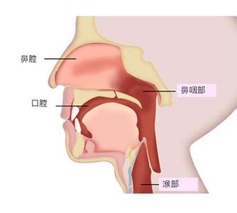 双侧鼻甲肥大的症状是什么样的？